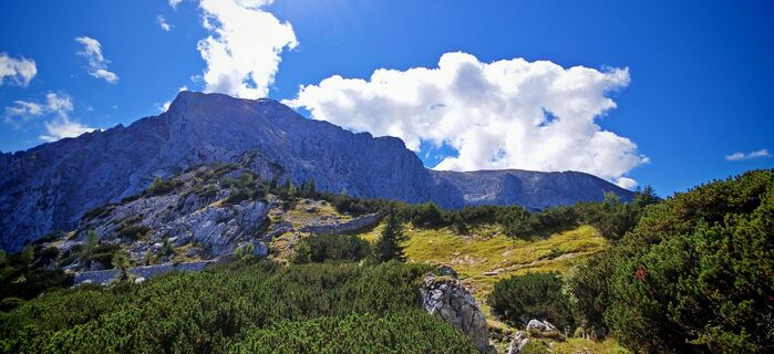 Fotografia z ReginaSt na trase