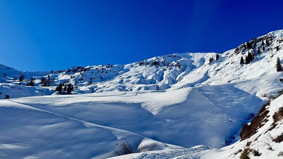 Foto från Manfred Karl under resans gång