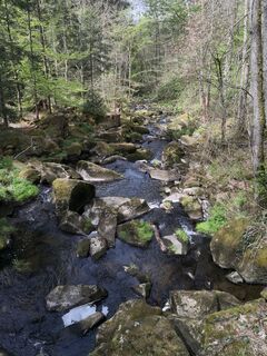 Zdjęcie z Hardy66 wzdłuż trasy