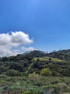 Zdjęcie z corrado wzdłuż trasy