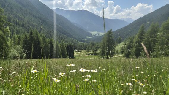 Fotografia z Uwe Schumann 2 na trase