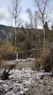 Fotografia z Cati W1985 na trase