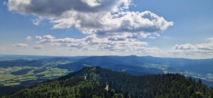 Foto von Sabine Arbinger entlang der Tour