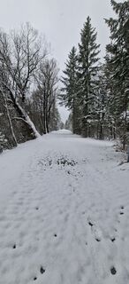 Foto de execute a lo largo del recorrido