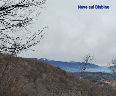 Foto de Francesca Semeraro a lo largo del recorrido