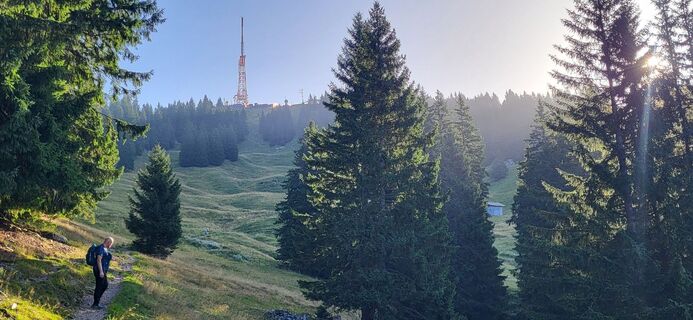 Foto från Ute Junker under resans gång