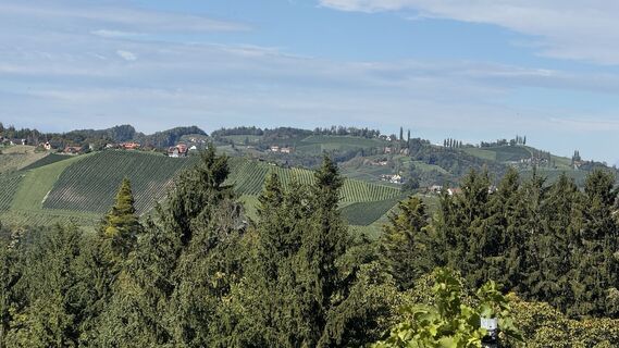 Fotografia z Wilhelm na trase