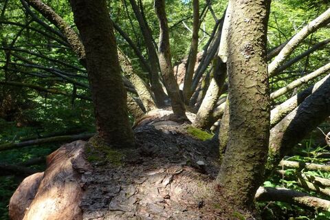 Unterwegs auf dem Wanderweg