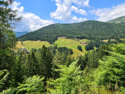 Foto von Moro entlang der Tour