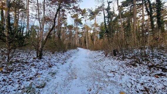 Photo de EP87 le long du parcours