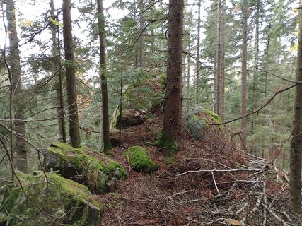 Photo de Stefan Milchrahm le long du parcours