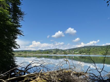 Photo de Coletta Theiss-Wessels le long du parcours