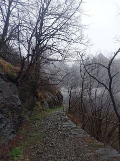 Photo de Aner le long du parcours