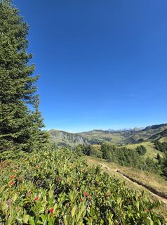 Foto de Gudrun Lippert a lo largo del recorrido
