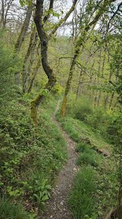 Photo de Dietmar Herrenschmidt le long du parcours