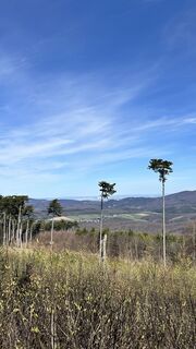 Fotografie z Natalia G na trase