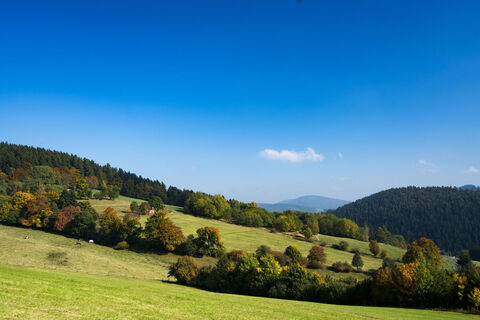 Wandern im Herbst in Willingen