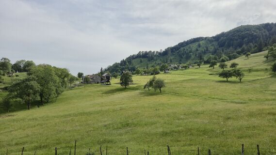 Foto von Fabrizio Plesnizer entlang der Tour