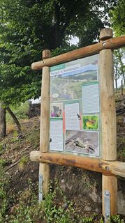 Naturlehrpfad Bonstapel Station 16