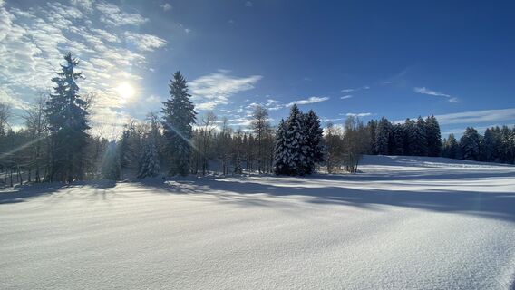 Foto fra Richard Bronold underveis på turen