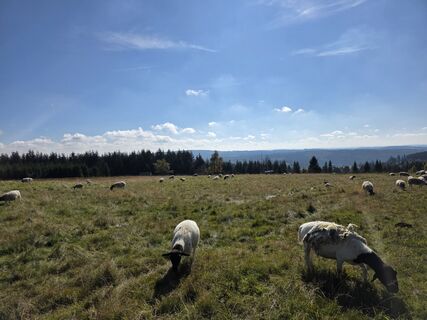 Fotografie de la Patrick Dubois de-a lungul turului