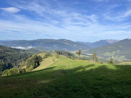 Auf die Schöneben ob Mürzzuschlag. Titelfoto: Panoramablick über die Schöneben