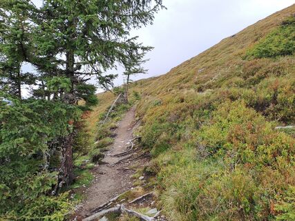 Fotografie z Wanderbursche66 na trase
