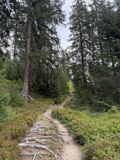 Foto von Christine Kurzke entlang der Tour