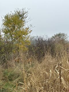 Fotografia z Manuel L. na trase