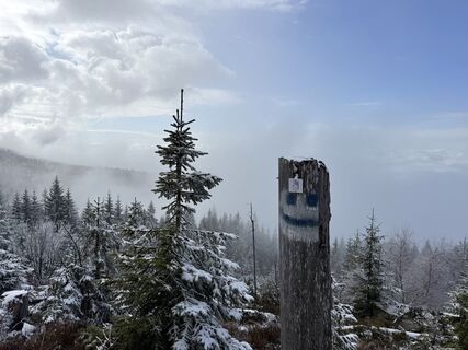 Fotografia z Natur_erleben_dg na trase