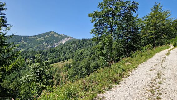 Foto von Ernst Brezina entlang der Tour