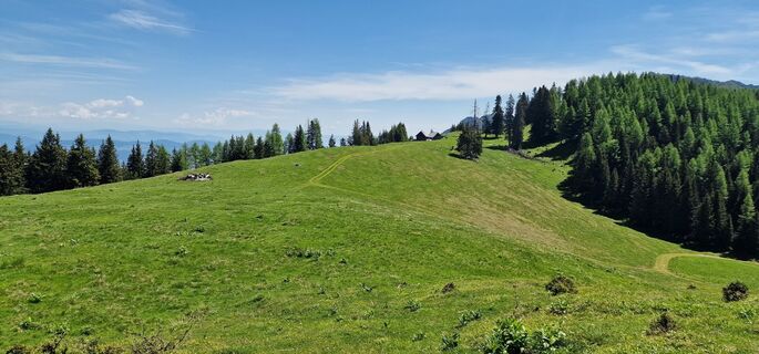 Zdjęcie z Marko wzdłuż trasy