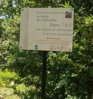 Rando des Asphodeles0021 ©CDRP34