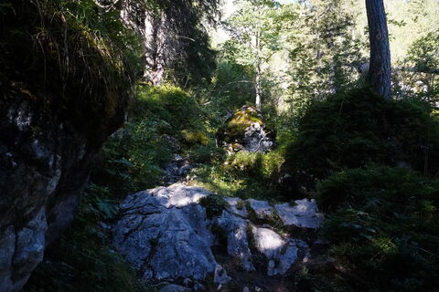 Foto von quer.feld.ein entlang der Tour