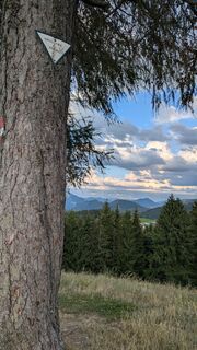 Photo de Ziegler Em1304 le long du parcours