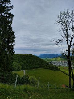 Foto von Niklas Johansen entlang der Tour