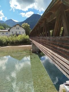 Foto von Michaels bergfex entlang der Tour