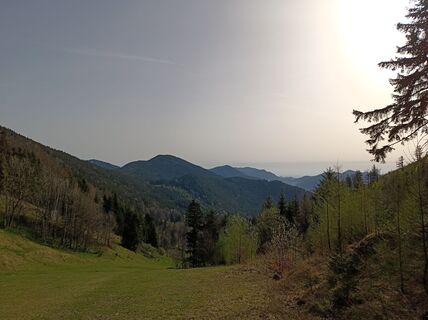 Zdjęcie z Bergpirat wzdłuż trasy