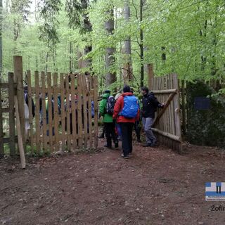 NWKW_II_Tag08_Urwald_Zofin_20190504_133453
