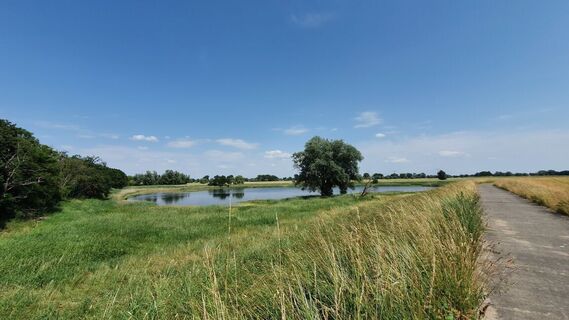An der Elbe in der Altmark am Altmarkrundkurs