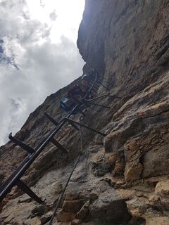 Photo de schenkeli le long du parcours