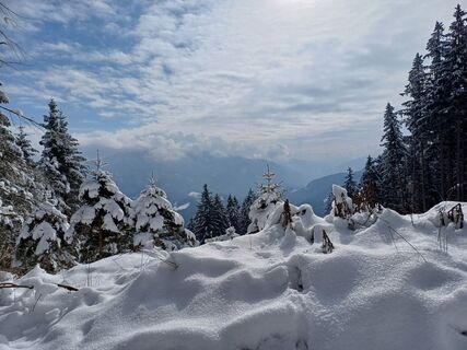 Photo de Angelika Poschinger-Reh le long du parcours