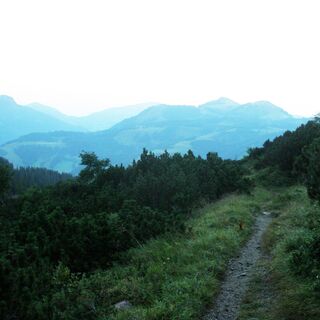 Pontental