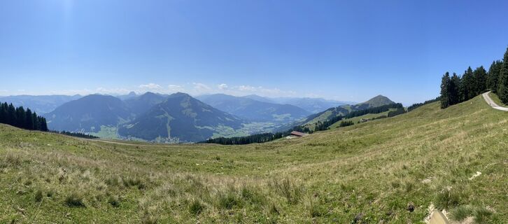 Foto von Willy 11 entlang der Tour