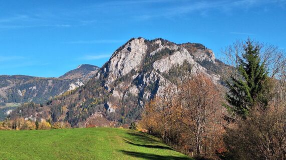Fotografija s spletne strani Regina Fleischmann na poti