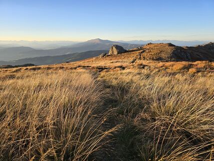 Fotografia z TwilightTea na trase