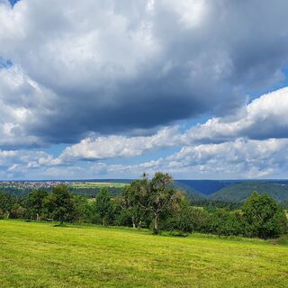 Biotopverbund-Runde Holzbronn - Aussicht