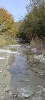 Foto von Davor  Umag City Croatia.?? entlang der Tour