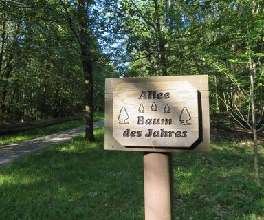 Allee der Bäume des Jahres (C) Gemeinde Reichartshausen