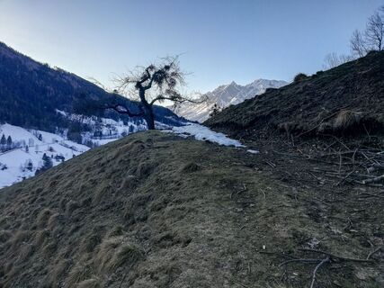 römerlauf_img_45906127